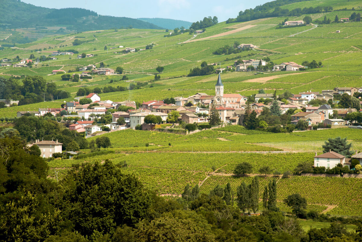 Landschaft Weinberge Beaujolais