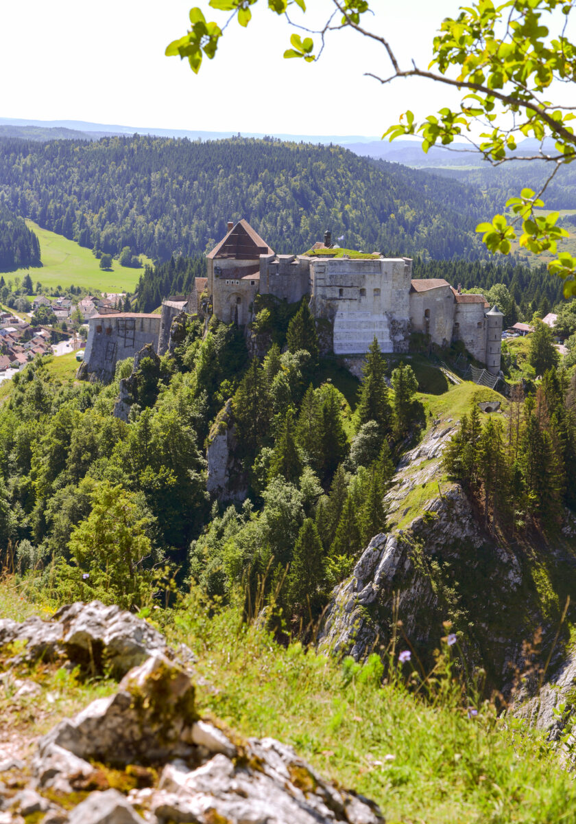 Château de Joux