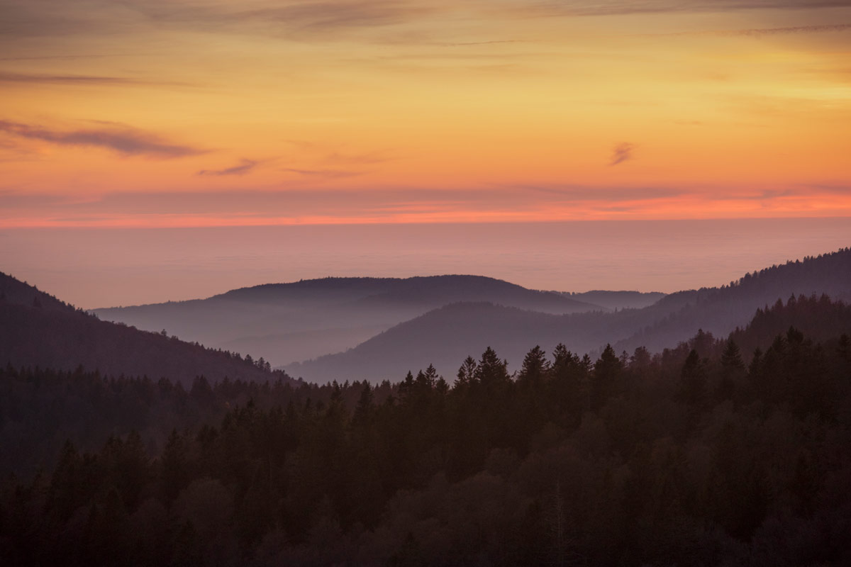 Massif des Vosges