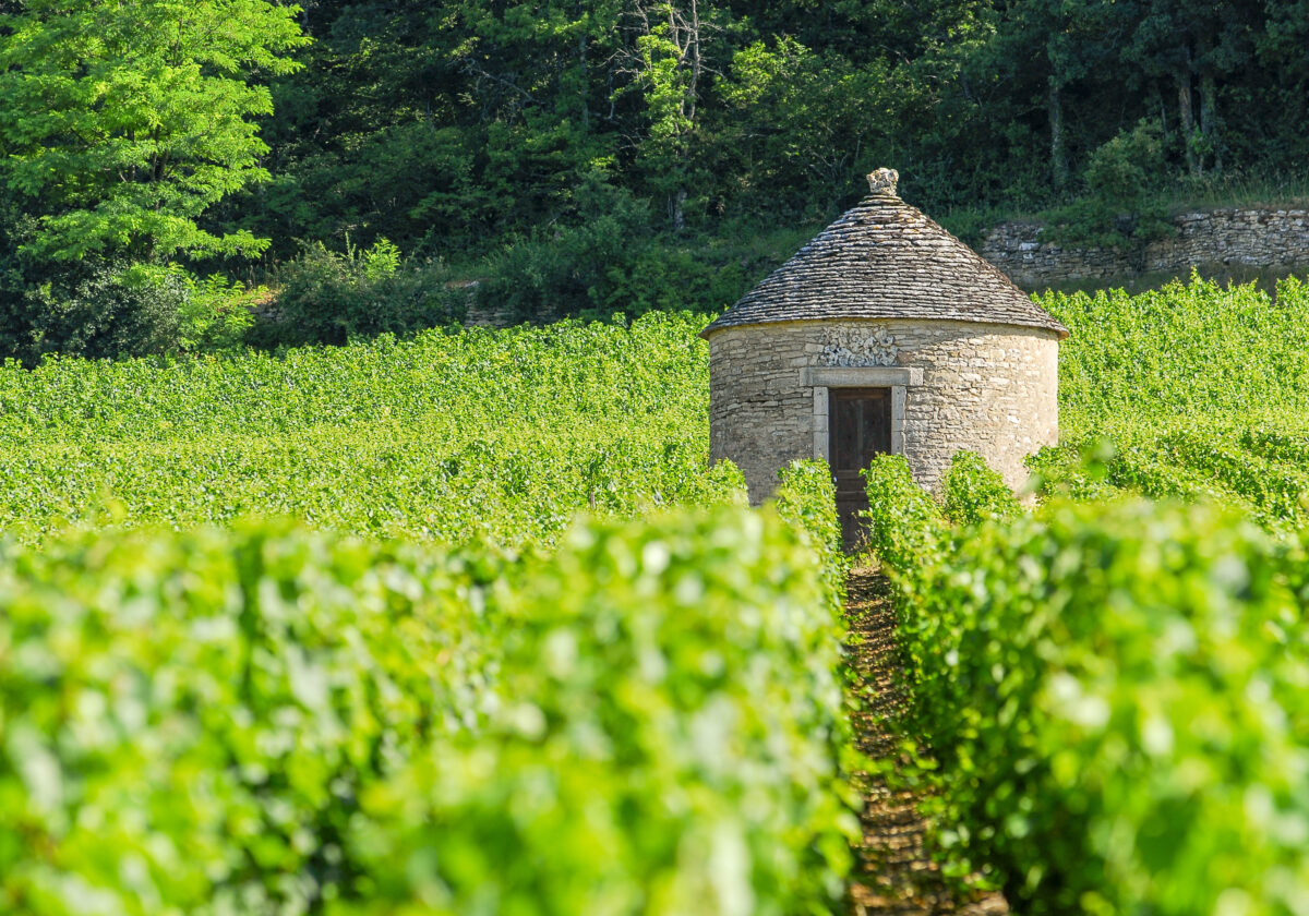 La Bourgogne