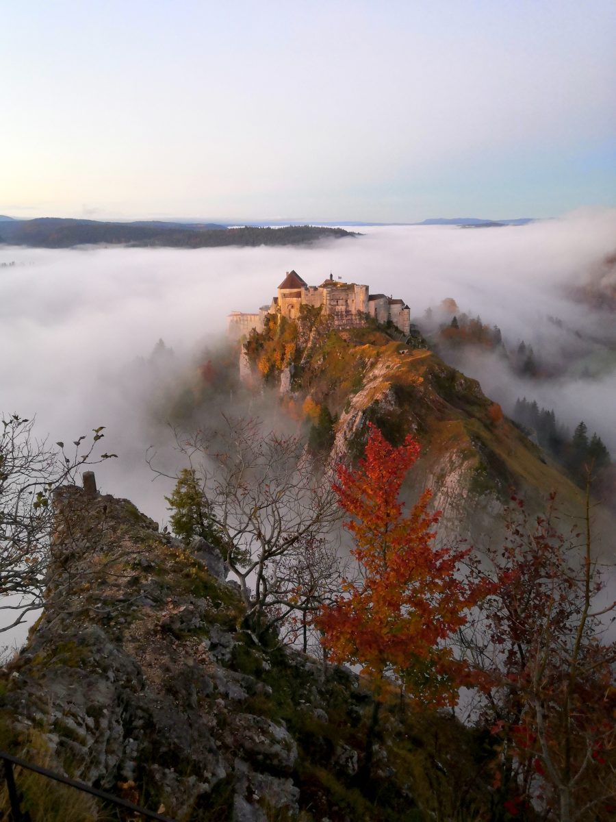 HERBSTAUSFLÜGE IN BFC
