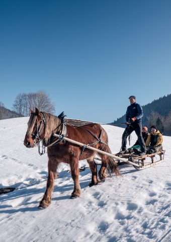 WINTERAUSFLÜGE IN BFC